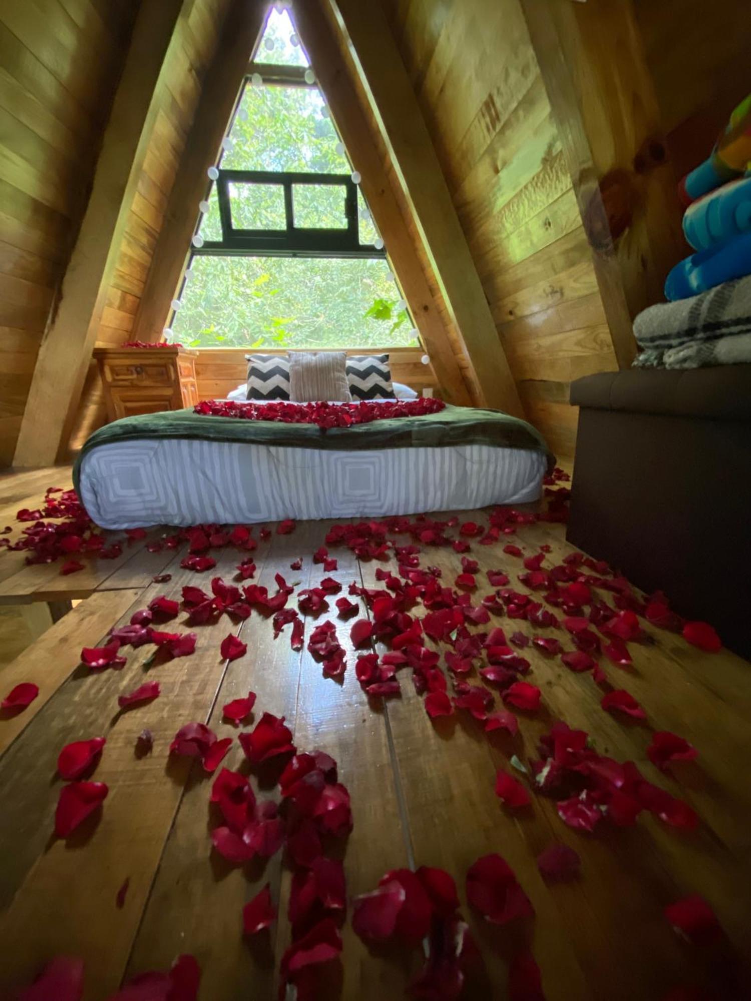 Cabanas Alpina, Romantica Y Acogedora A 10 Minutos Del Centro Tepoztlán Dış mekan fotoğraf