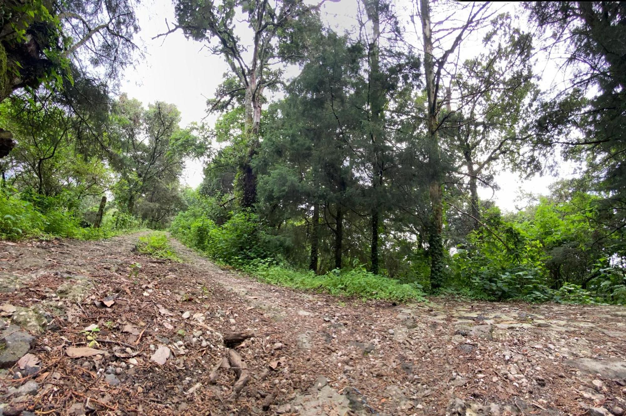 Cabanas Alpina, Romantica Y Acogedora A 10 Minutos Del Centro Tepoztlán Dış mekan fotoğraf