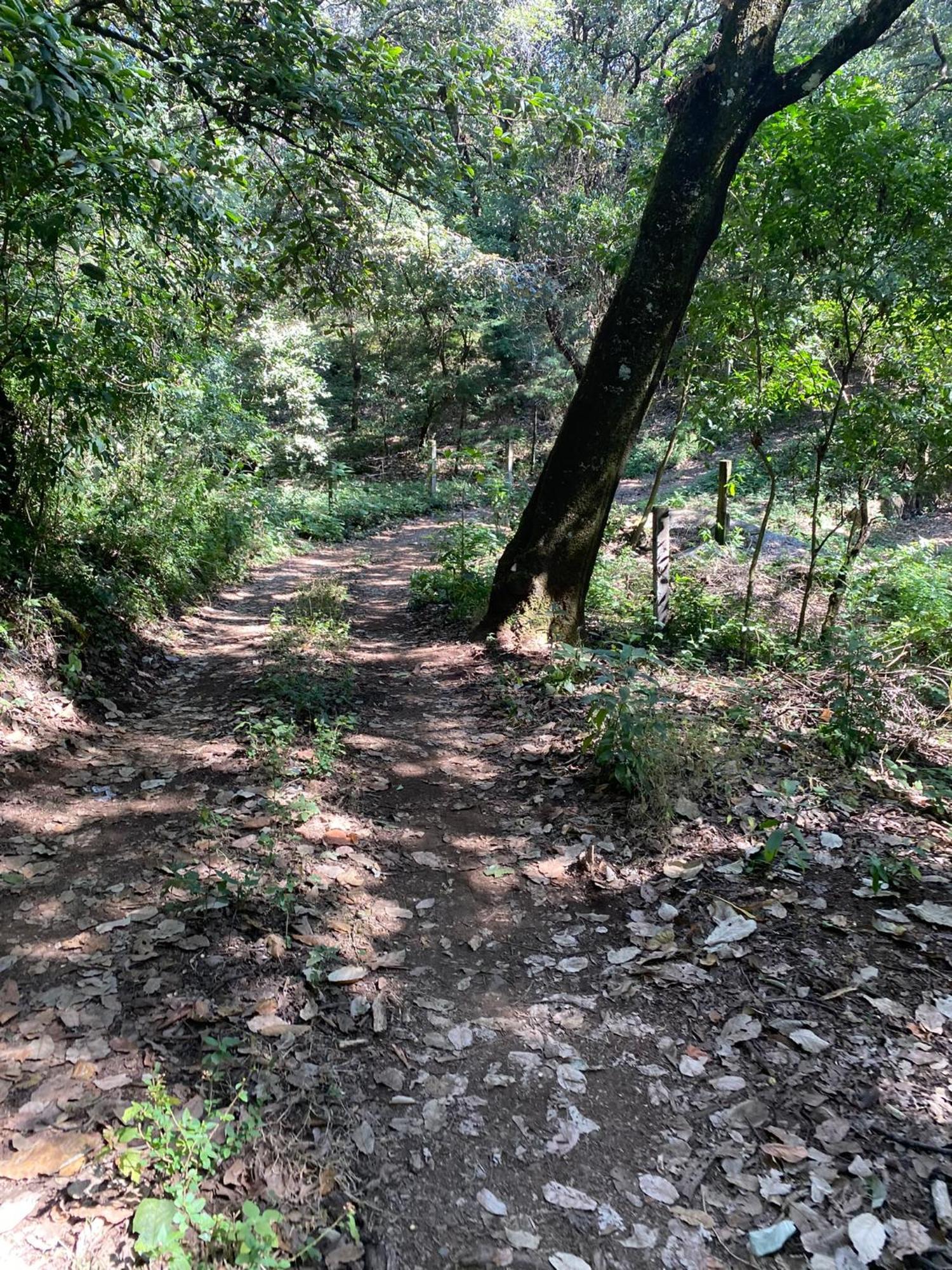 Cabanas Alpina, Romantica Y Acogedora A 10 Minutos Del Centro Tepoztlán Dış mekan fotoğraf
